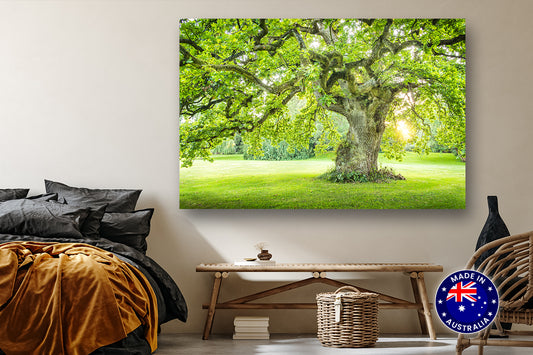 Live Oak Angel Tree Canvas Wall Art